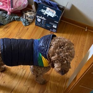 Primary rainbows dog puffer EUC